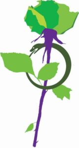 La rosa di Franco Battiato, rielaborata in verde