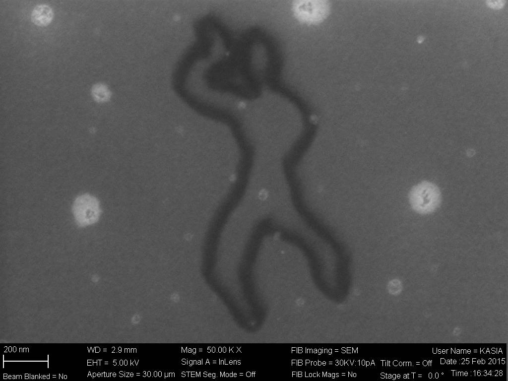 Socialithic_ManWithSmartphone - courtesy of Alessandro Scali