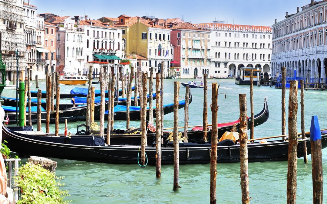 Al via il festival del cinema di Venezia, presiede Bong Joon-Ho