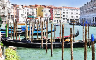 Al via il festival del cinema di Venezia, presiede Bong Joon-Ho