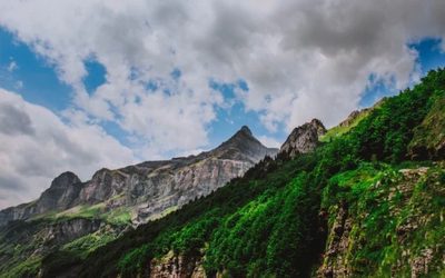 Le alpi formano una corona sempre più verde
