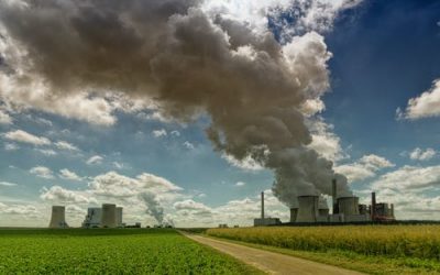 Italia vs crisi climatica: 100 eccellenze scendono in campo