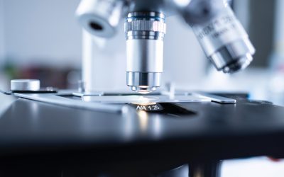 In Italia aumentano i brevetti, crescono le invenzioni nel mondo tech