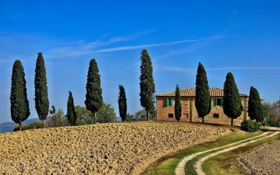 Grand Tour 2.0: la Toscana cammin facendo