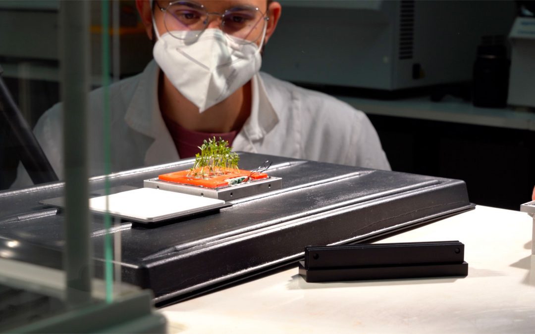 È in orbita GREENCube, il primo micro-orto italiano