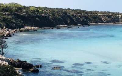 Mediterraneo sempre più caldo. Anche i mari risentono del cambiamento climatico 