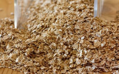 Tornano nei campi italiani miglio e avena grazie al progetto europeo “Re- Cereal”
