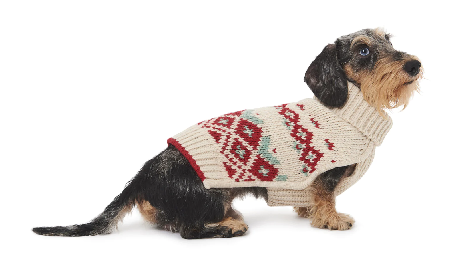 Un modello Poldo Dog Couture