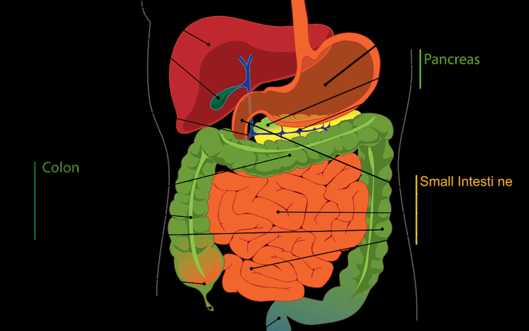 Tumore al Pancreas, si lavora al vaccino da Torino a Palermo