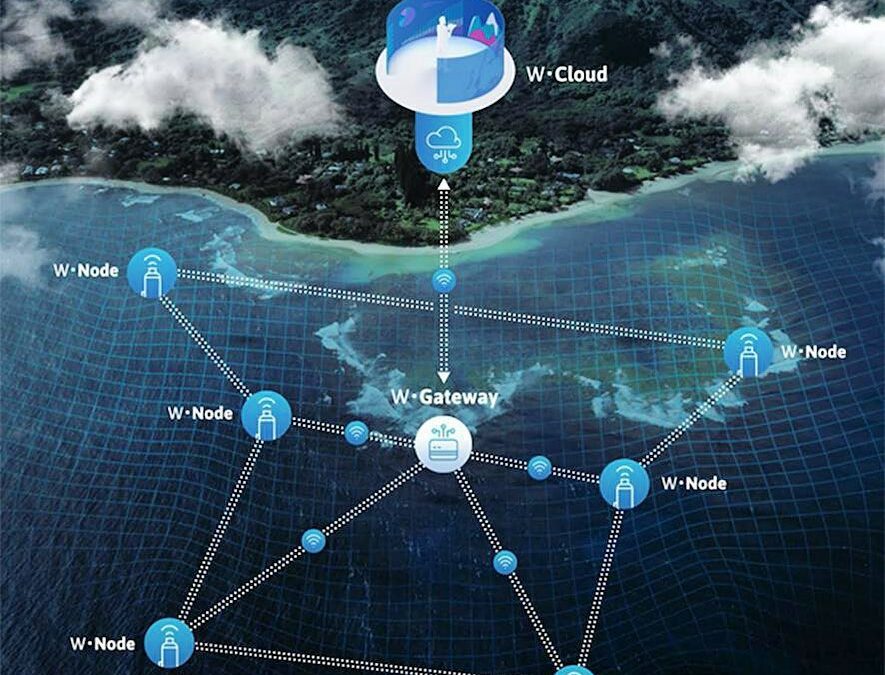 Premiata a Davos la startup italiana che porta Internet in fondo al mare