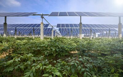 Agricoltura 4.0, nel 2023 arriva la svolta