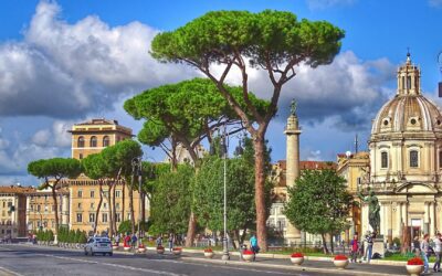 Più alberi in città e meno decessi: lo studio spagnolo pubblicato da Lancet