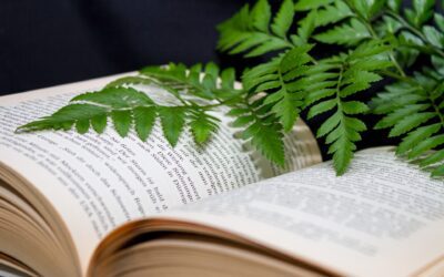 Piante in classe, bimbi più svegli