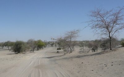 La lotta alla criminalità e al terrorismo in Ciad “parla” italiano