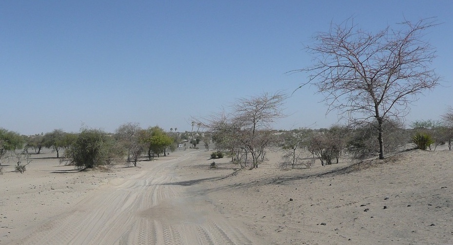 Cooperazione italiana in Sahel