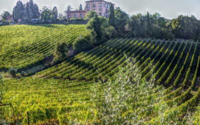 L’Enotria si apre ai turisti