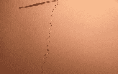 Oscar, un altro passo verso la nomination per Garrone