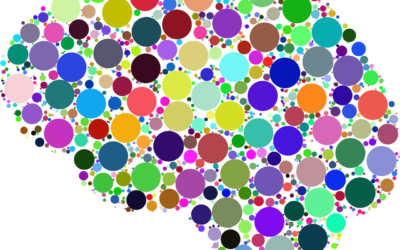 Ecco Sybilla, l’intelligenza artificiale italiana al servizio delle università