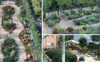 Nascerà a Cesena il primo giardino terapeutico per malati di Alzheimer