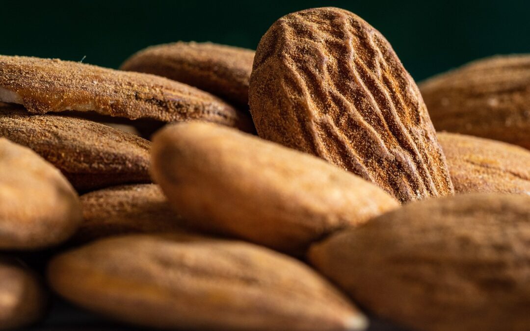 Italiana la prima batteria commestibile al mondo