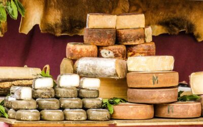 Al Mondiale Formaggi 2023 in Francia 21 medaglie d’oro per l’Italia