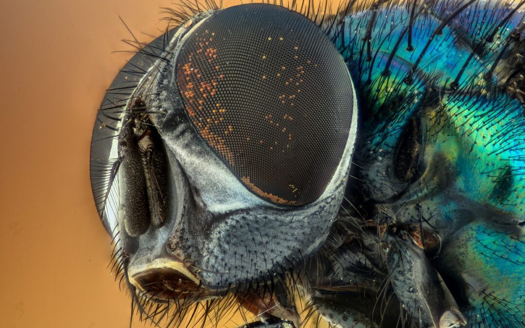 Autunno caldo, arrivano gli alieni