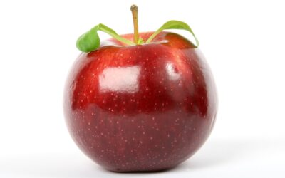 Dalle mosche la pellicola per proteggere il cibo