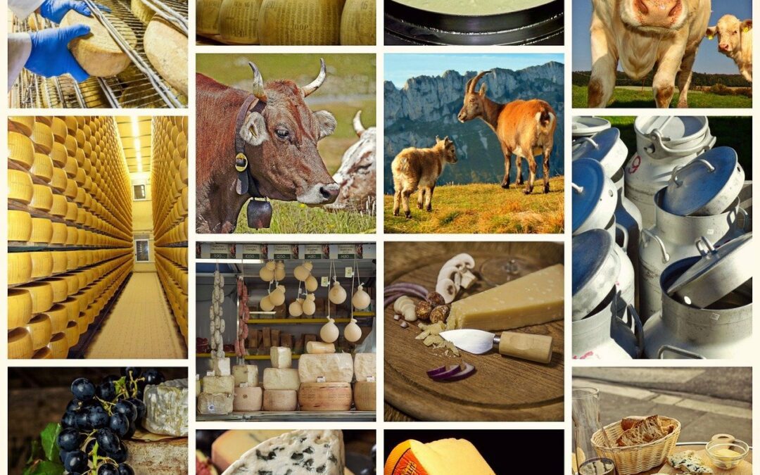 L’agricoltura italiana più produttiva ma attenzione al falso Made in Italy