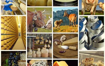 L’agricoltura italiana più produttiva ma attenzione al falso Made in Italy