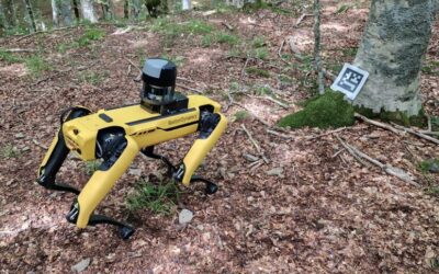 Spot, il cane robot che monitora le foreste