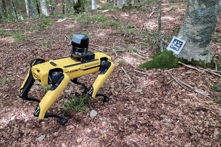 spot_ cane_robot spot_ cane_robot