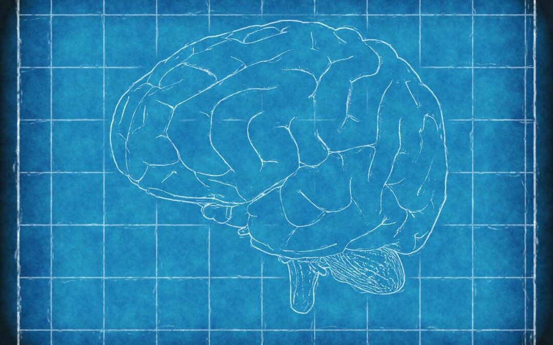 Dallo spazio la scuola per i neurochirurghi di domani