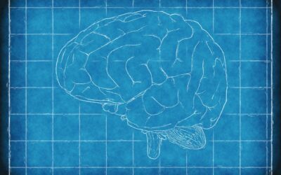 Dallo spazio la scuola per i neurochirurghi di domani