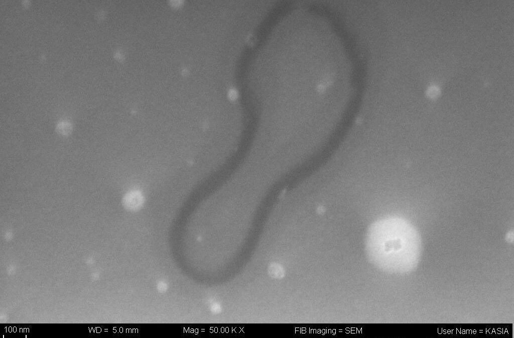 L’arte italiana in viaggio nello spazio