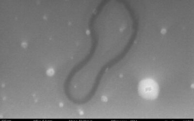 L’arte italiana in viaggio nello spazio