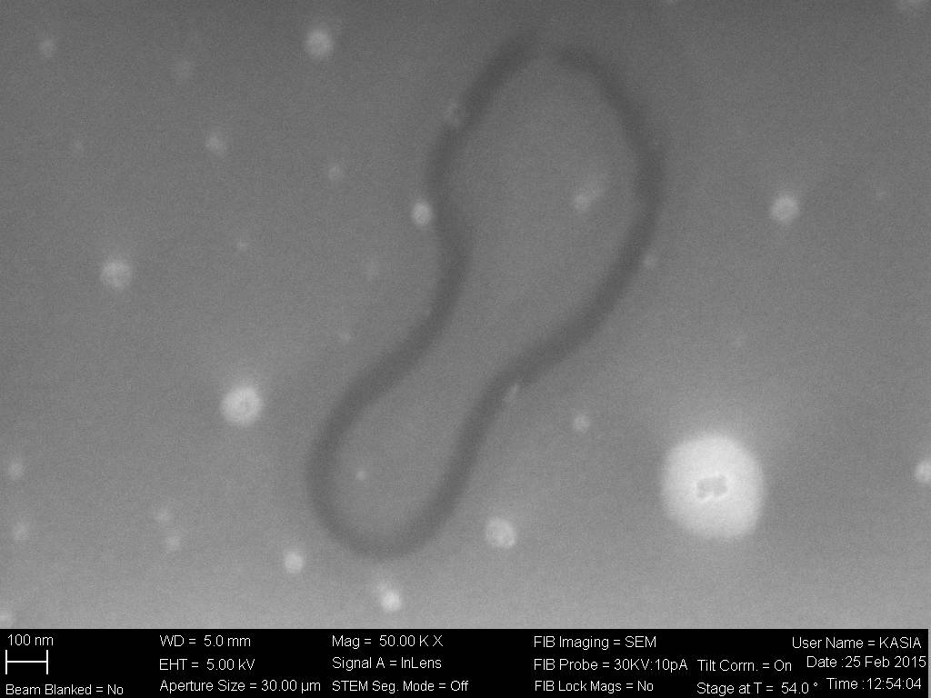 C'moon - courtesy of Alessandro Scali