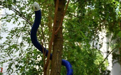 Il robot si fa “soft”