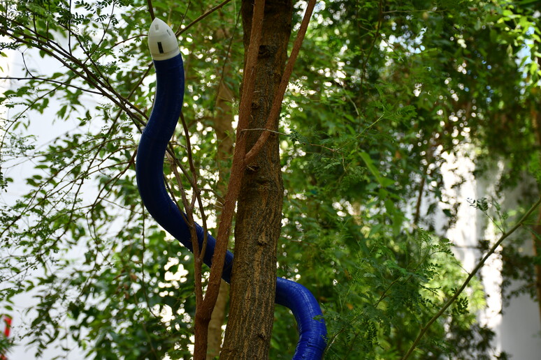 2be9148f009a9e37aa8c09d7ac844230