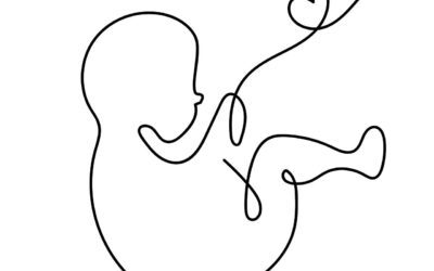 Organi in miniatura utili per studiare gravidanze