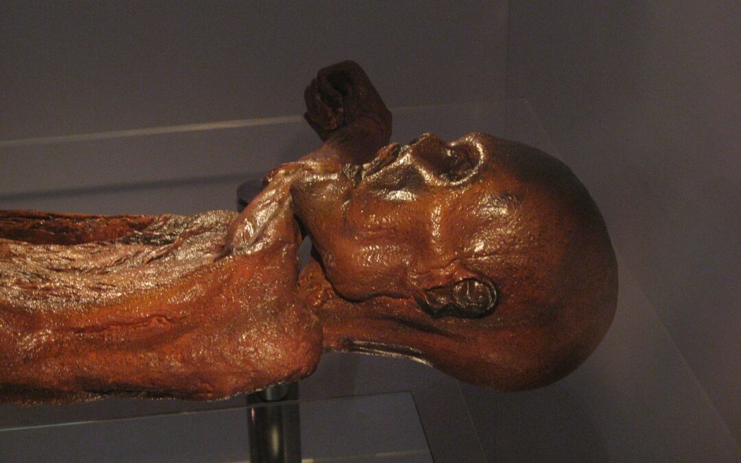 Dall’Alto Adige agli Stati Uniti, la mummia Ötzi protagonista con i suoi tattoo al carbone