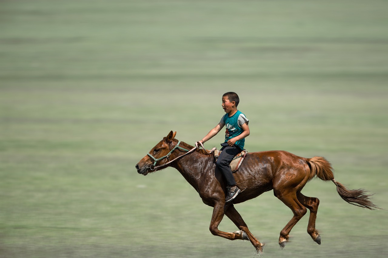 boy-horse-mongolia-Kanenori