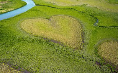 Giornata della Terra, l’agricoltura biologica la aiuta