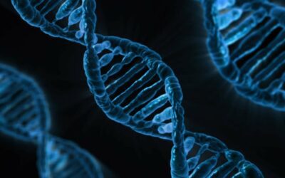 Mytho, scoperto il nuovo gene che regola l’invecchiamento