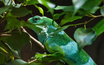 Sei gradi in più nel 2080 a Roma, Milano e Napoli