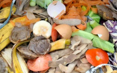 Aziende italiane dell’agrifood virtuose nelle pratiche di economia circolare