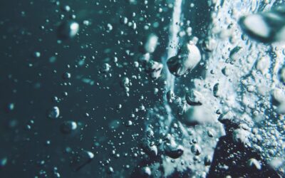 Vini affidati alle acque di mari e laghi, una pratica già nota agli antichi greci