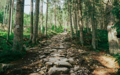 La Via Appia nella lista dei patrimoni dell’Unesco