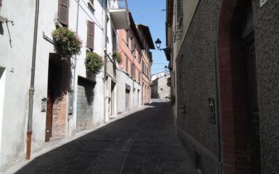 Bertinoro capitale mondiale delle macchine molecolari