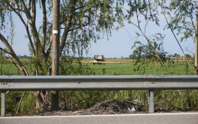 In Italia parte il servizio civile agricolo