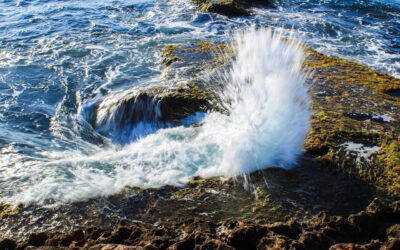 Aiuto! Il Mediterraneo si è scaldato di oltre 1 grado in 25 anni